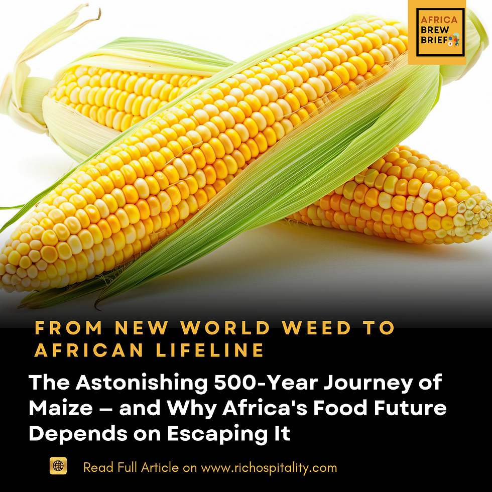 From New World Weed to African Lifeline: The Astonishing 500-Year Journey of Maize — and Why Africa's Food Future Depends on Escaping It