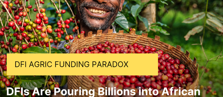 DFIs Are Pouring Billions into African Agriculture — So Why Are Smallholders Still Broke?