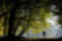 RBG10-6718-1200x800.jpg.webp
