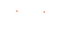 Pitchi Poy