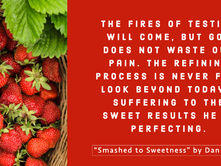 Smashed to Sweetness