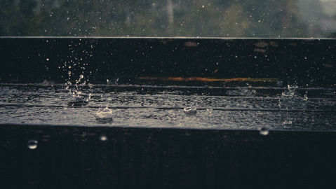The rain.jpg