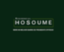 logo hosoume.png