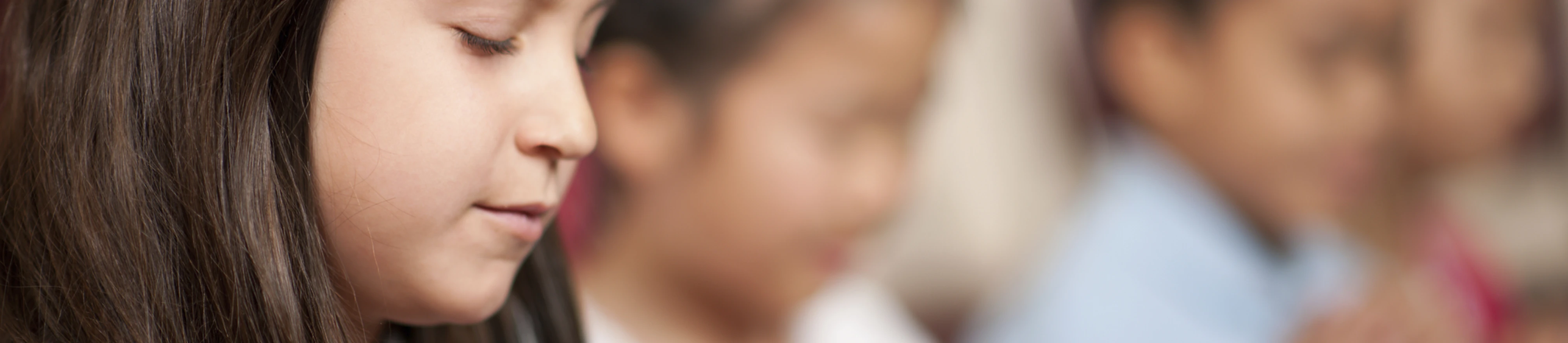 293c69c2fa2449789b51d1229e3bd682.webp