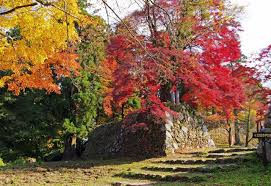 11/23 高取山
