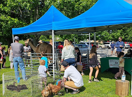 petting zoo