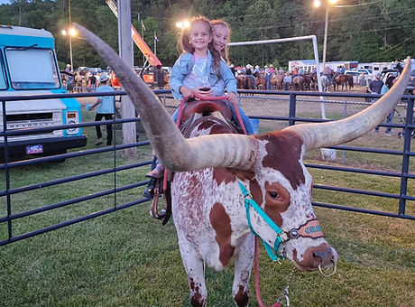 Cracker the riding steer