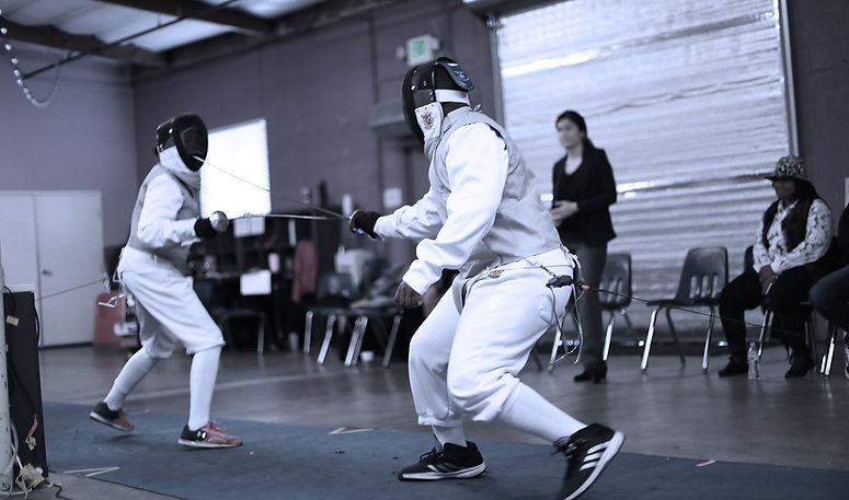 fencing8.jpg
