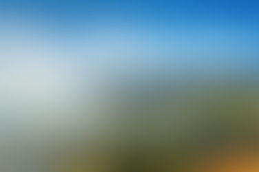 Pacific Palisades Real Estate: Neighborhood Guide and Market Insights for 2026