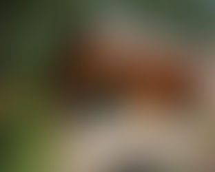 New Laws: 8 ADUs on Multifamily & Faster Coastal Permits?