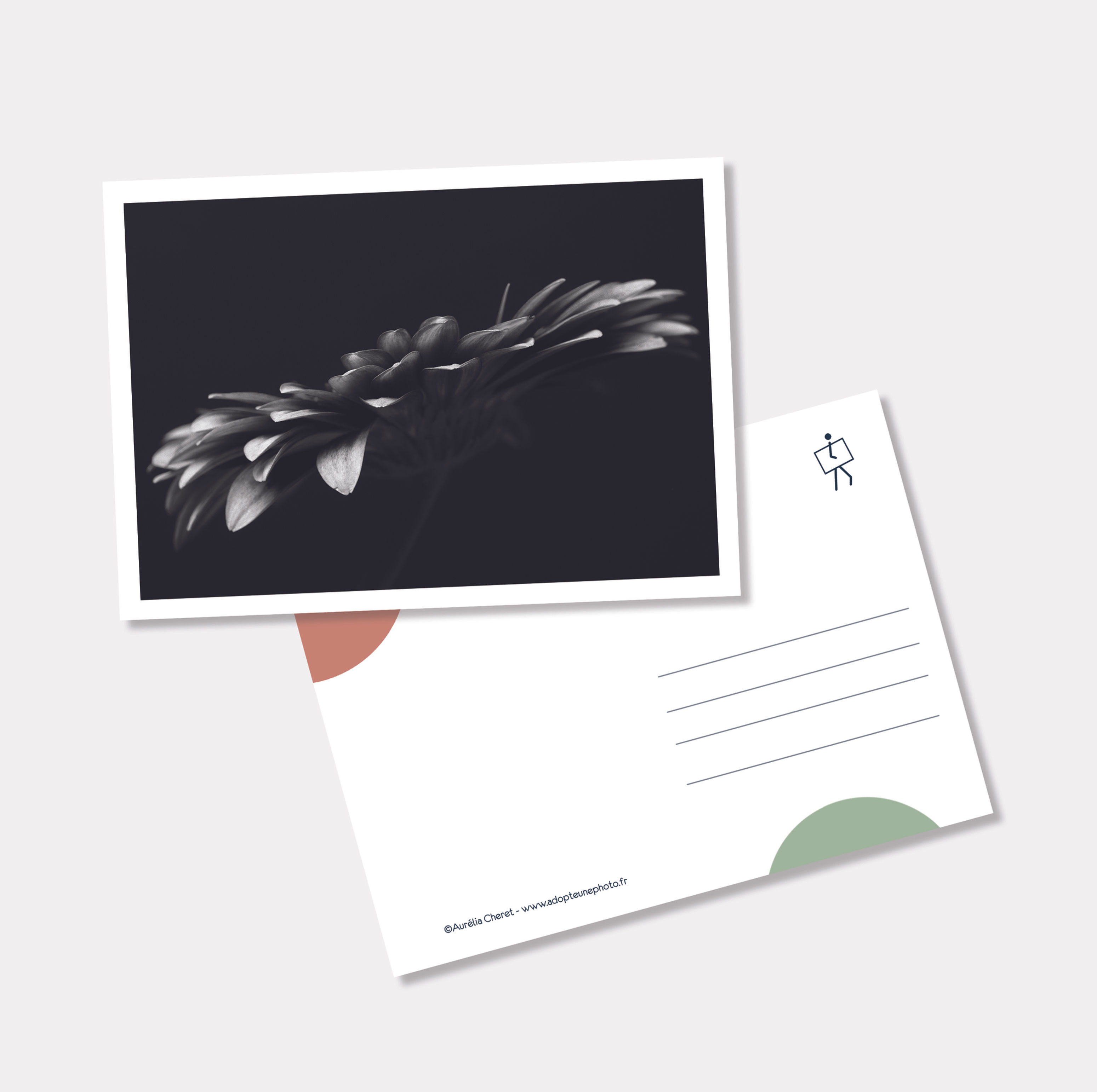 Carte postale série "Old Beauties"