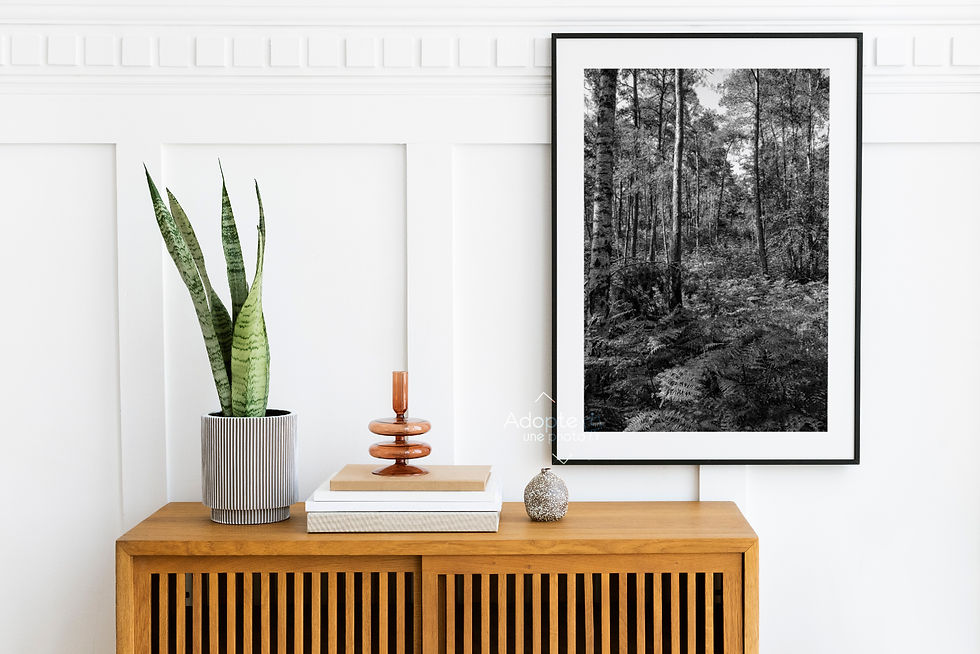 Miniature : Photographie d'art, décoration murale, déco chambre d'hôte, déco airbnb, poster, forêt de fontainebleau, noir et blanc, photo