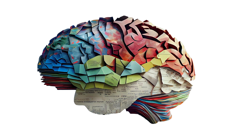 Brain