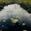 Thumbnail: Näckrossjö Ångermanland/ Original Watercolor  90x70cm inkl ram  år 2024 