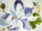 Columbine