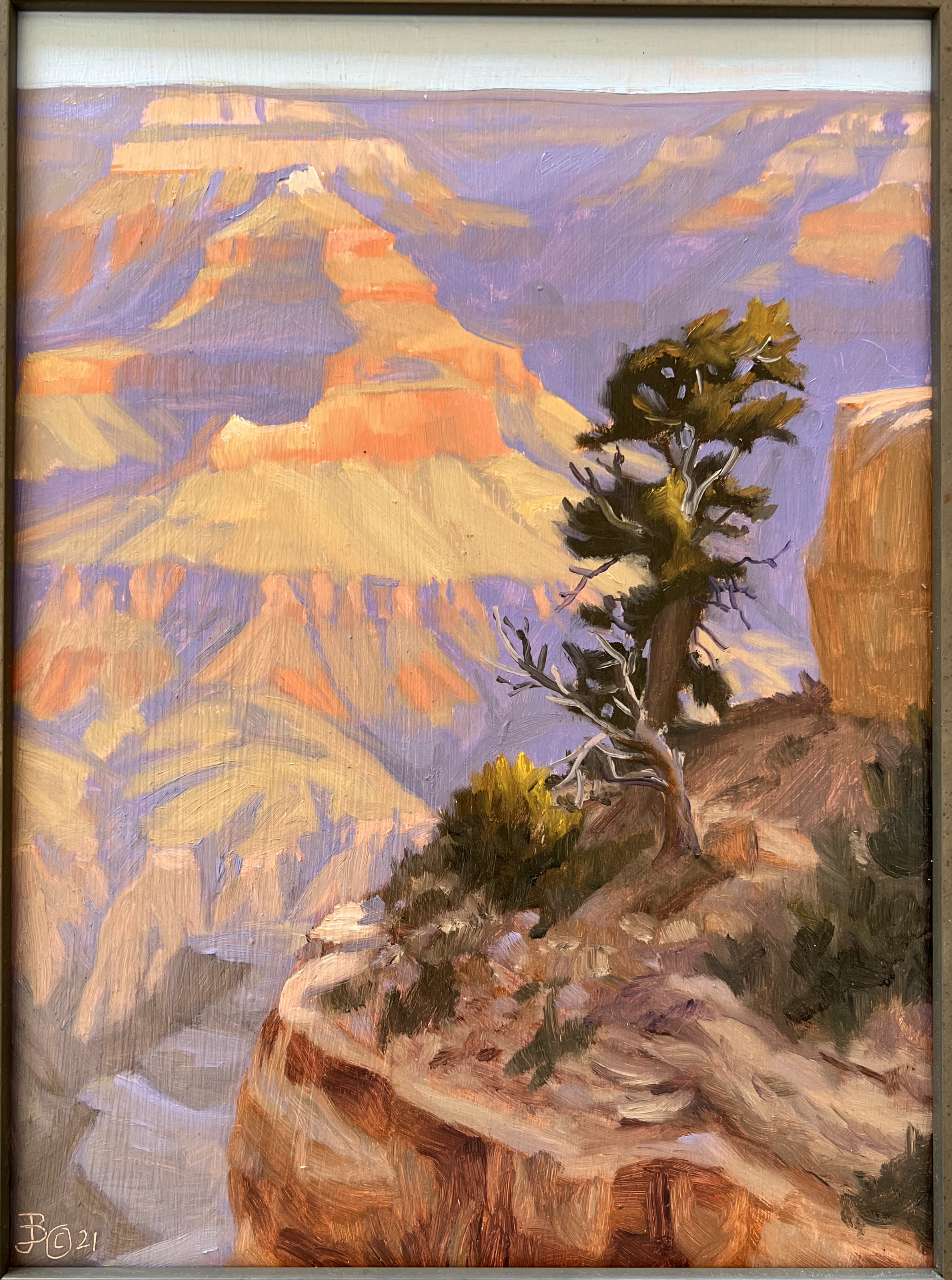 Black “Dawn at Kaibab Trailhead"