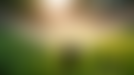 Expert Sprinkler Irrigation Services in Houston