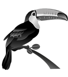 toucan-vector-art.png