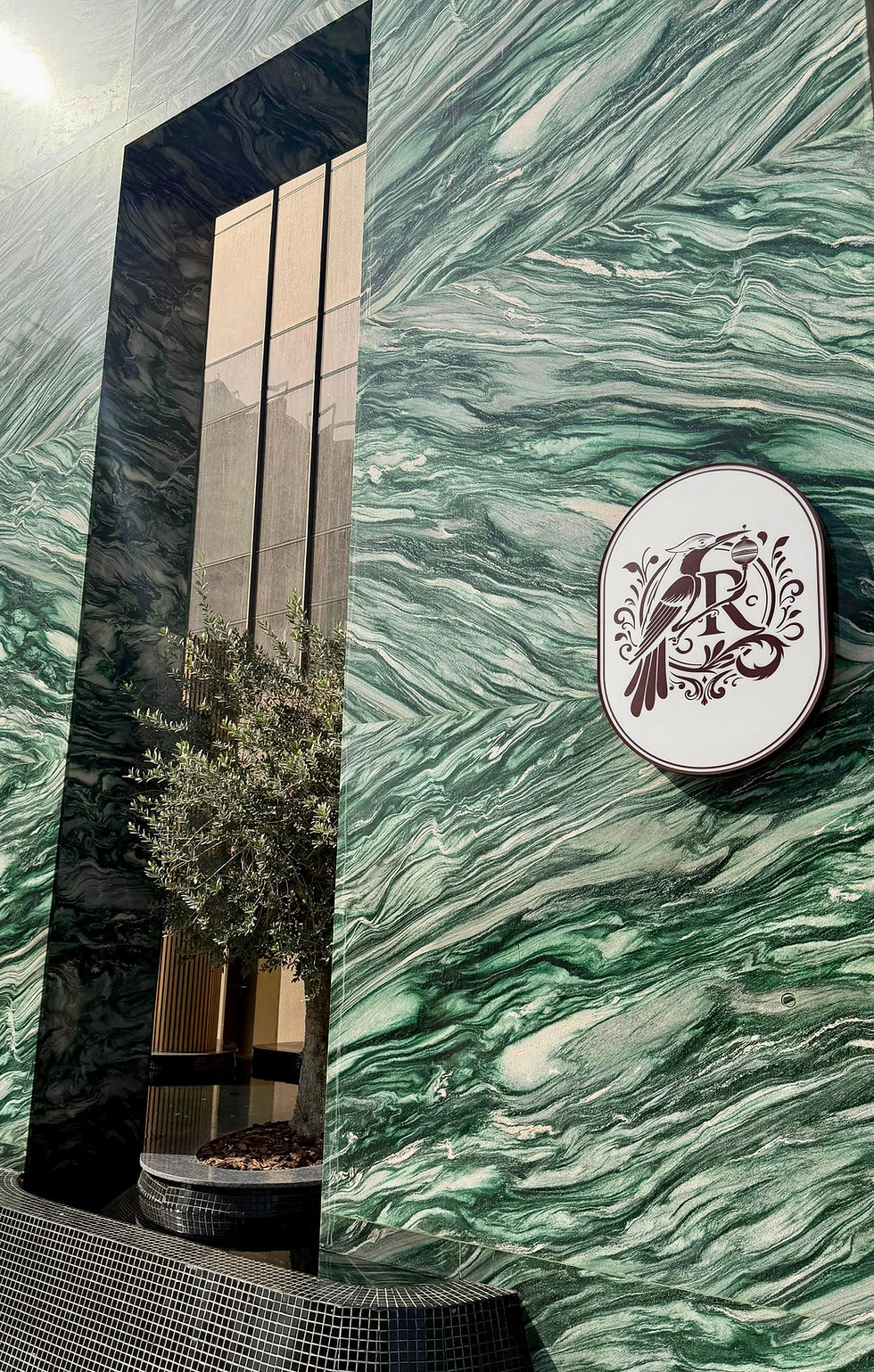 WhatsApp Image 2026-01-19 at 11.50.59.jpeg