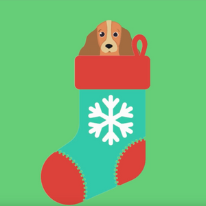 Christmas GIF
