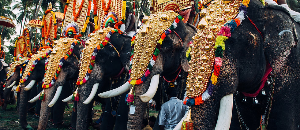 Jaipur Elephant Festival