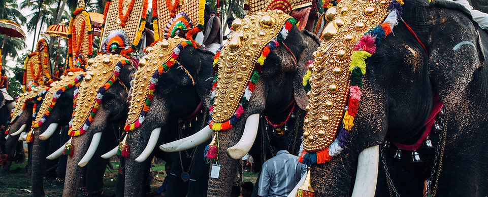 Elephant Festival in India