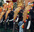 Elephant Festival in India