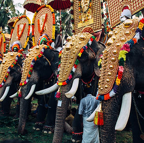 Elephant Festival in India