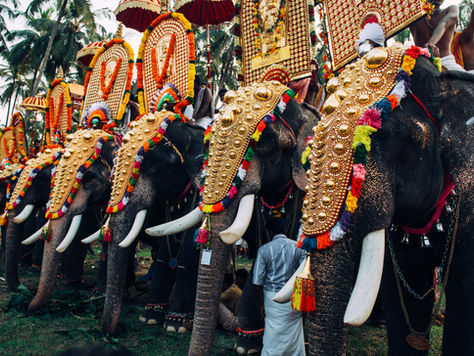 Unleashing the Power of Traditional Craftsmanship: Moksh Art's Masterpieces