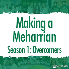 Making a Meharrian Promo Cover.png