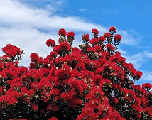 PXL_20231225_010236168~2.jpg