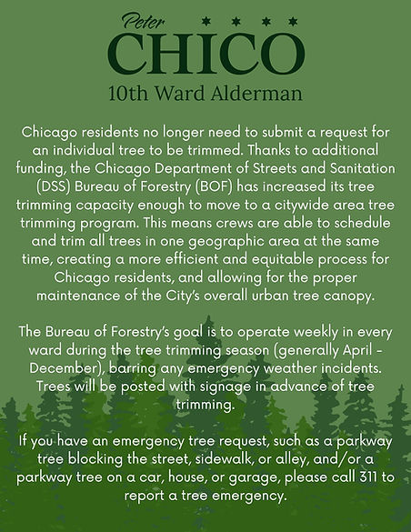 Green Illustration Preserve Trees Campaign Instagram Post (2).jpg