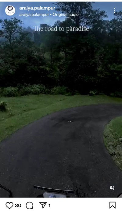 AR2.jpg