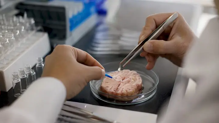 Peptide Sampling Techniques: Matching Method to Sample Type cover image