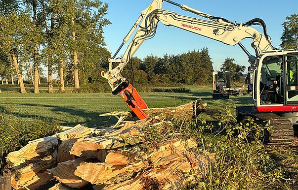 Bagger Stammspalten