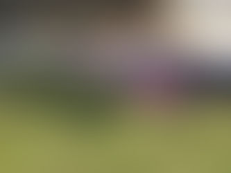 The relaxation after...