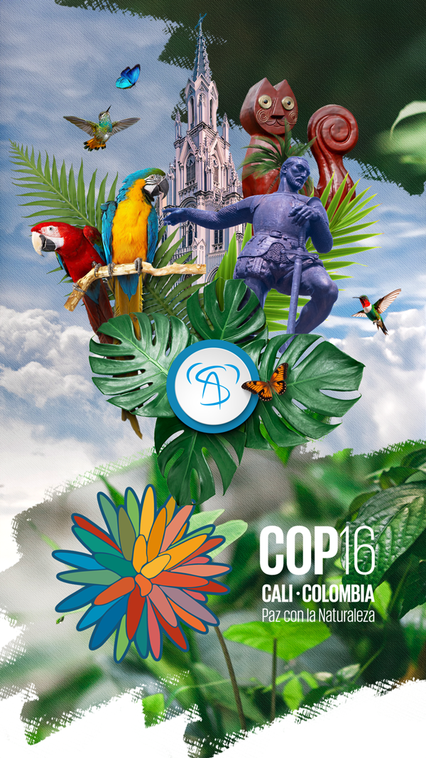 COP16