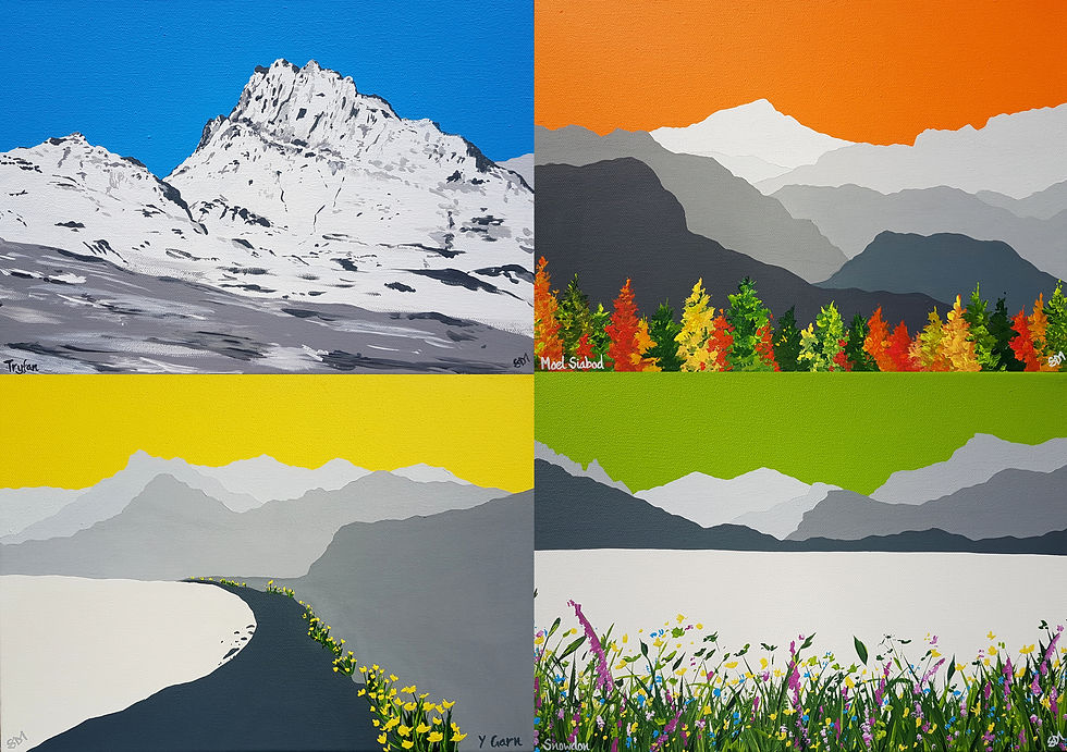 4 seasons in Snowdonia