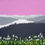 Thumbnail: Spring in The Lakes (4 paintings)