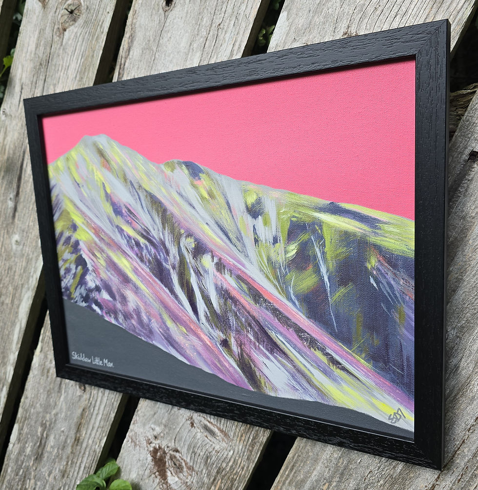 Thumbnail: Skiddaw Little Man