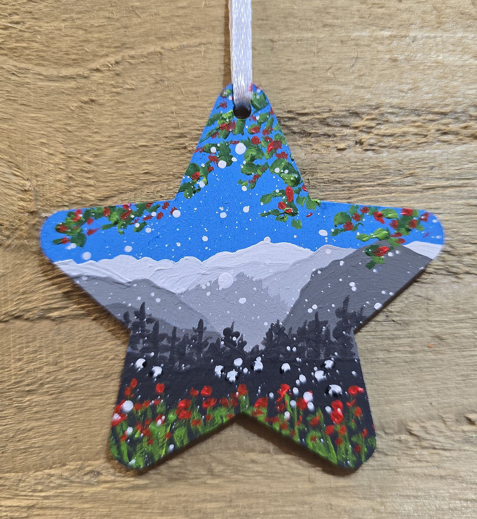 Hand Painted Star - Winter's day in Borrowdale