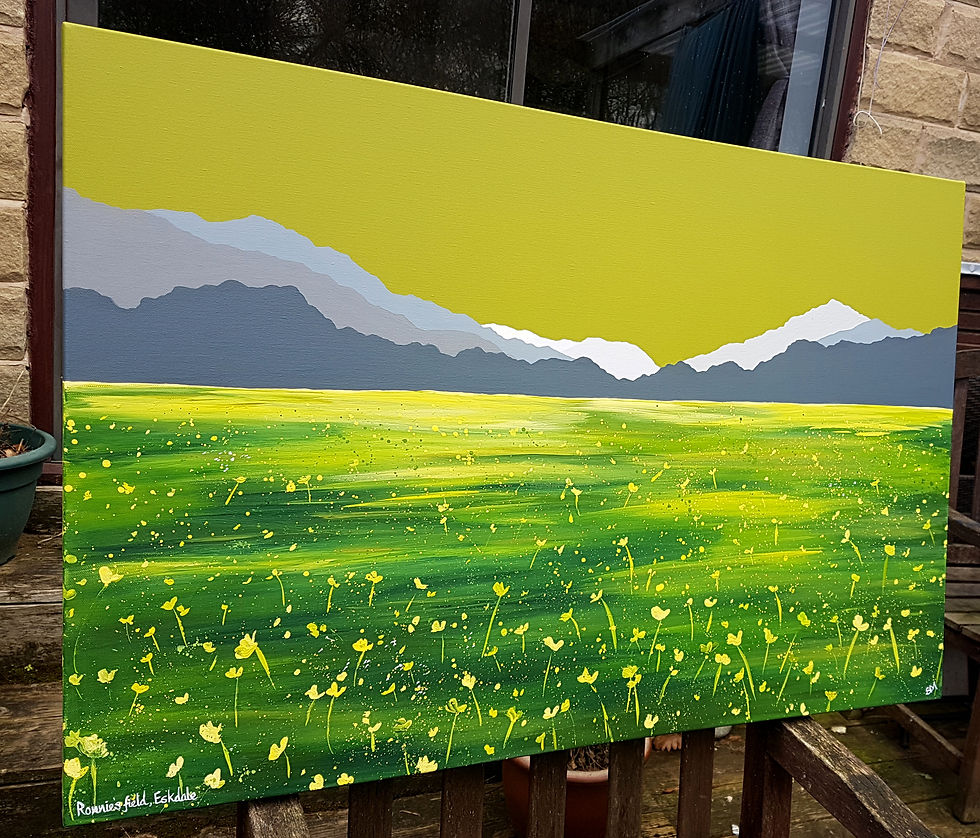 Thumbnail: Ronnie's field, Eskdale
