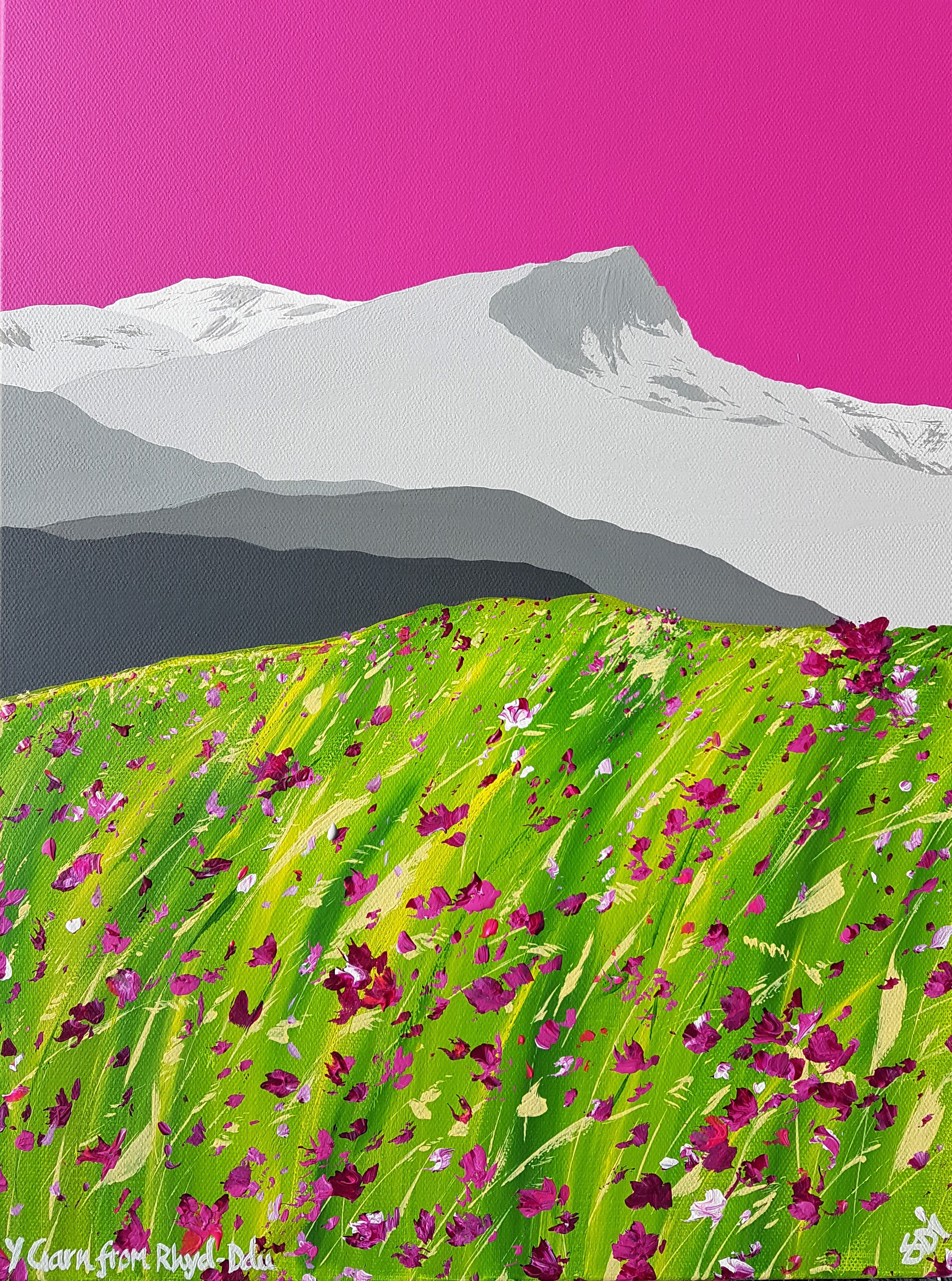 Y Garn from Rhyd Ddu