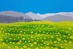 SOLD Buttercup Meadow, Kentmere
