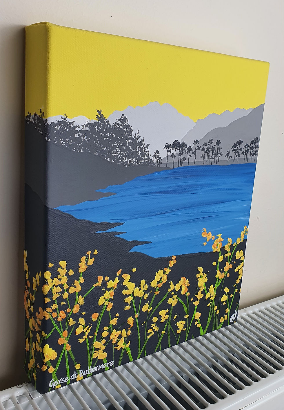 Thumbnail: Gorse at Buttermere