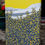 Thumbnail: Gorse over Derwent Water