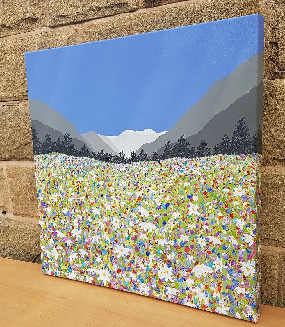 Thumbnail: Daisies in Borrowdale