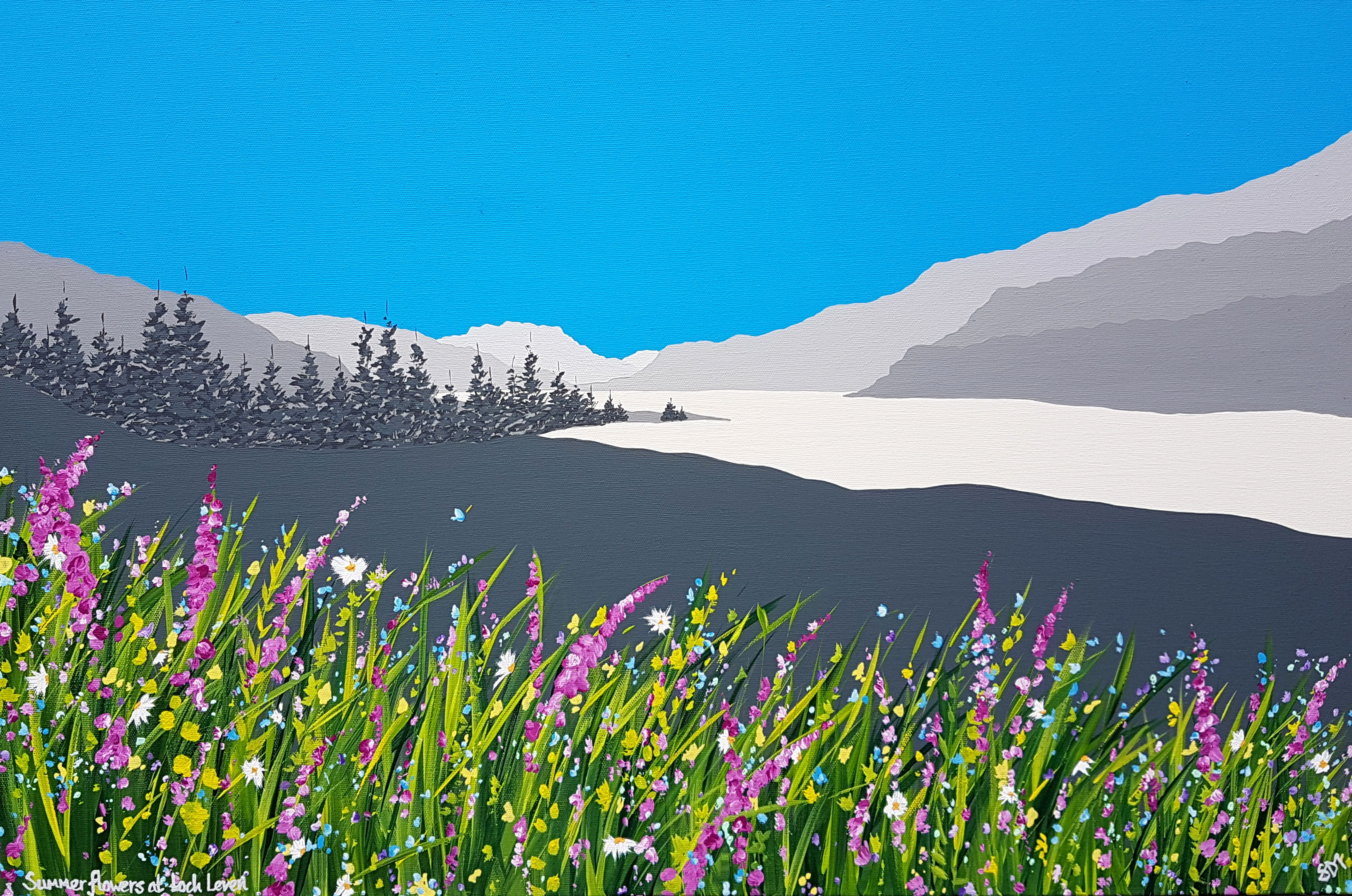 Summer flowers at Loch Leven