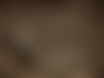 Short story based on a fossilized nest of juvenile Psittacosaurus