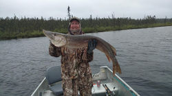 Jon master pike 45 inches